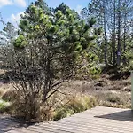 246-thisted-pighvarvej-16 *